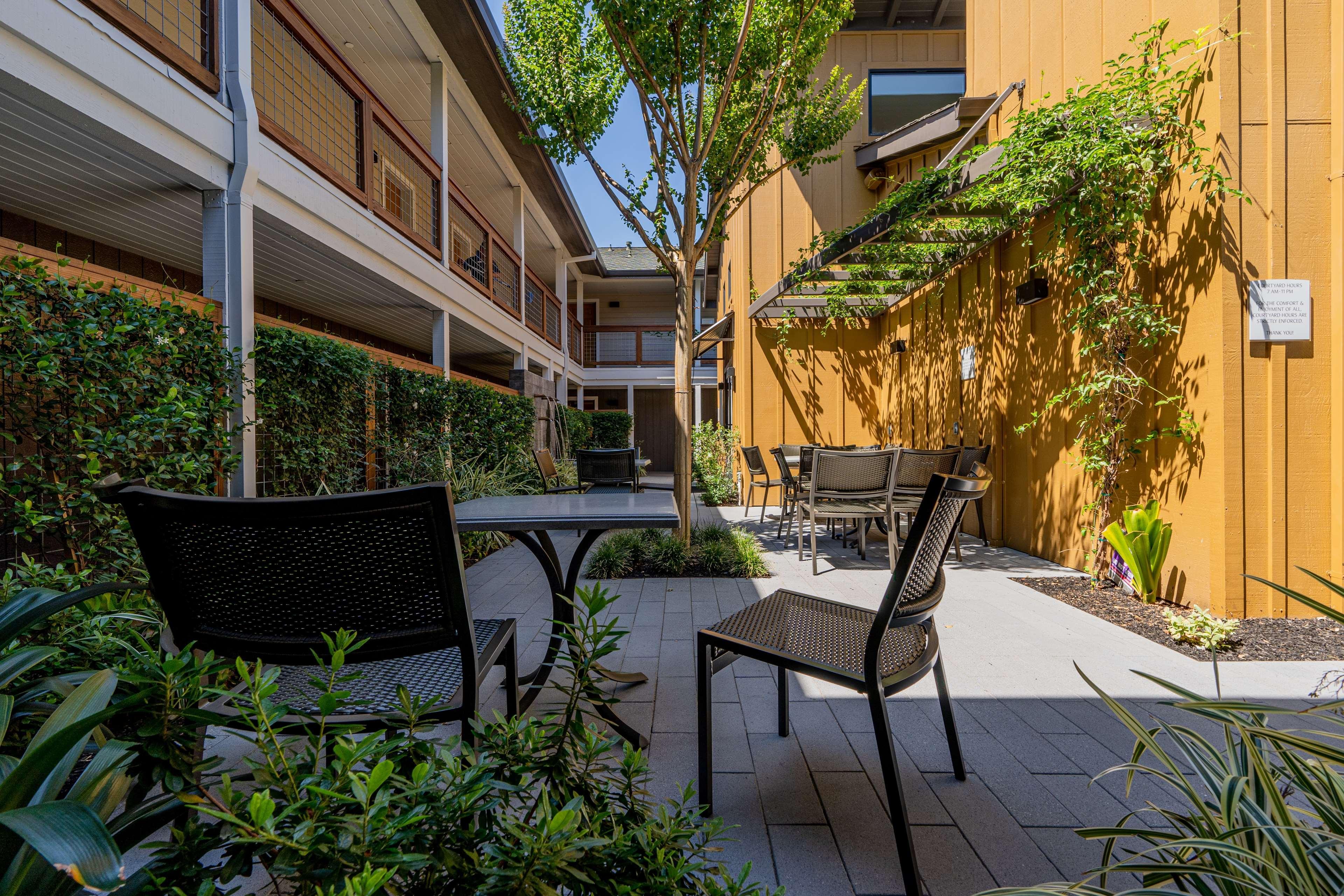 Best Western Plus Stevenson Manor Calistoga Exterior foto